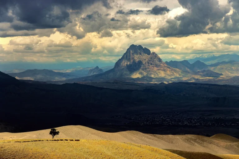 Single - Bahram Bayat