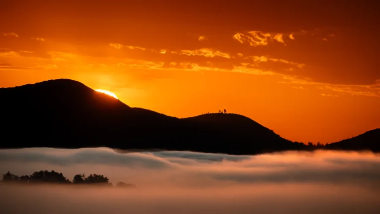 Sonoma sunrise - Anne Travis