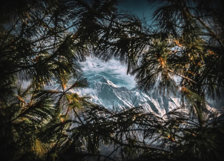 The Mother Goddess - Claire Nitsche