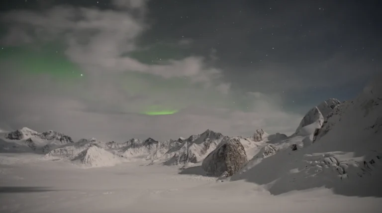 Variations on a White Felt - Nelson Manstein