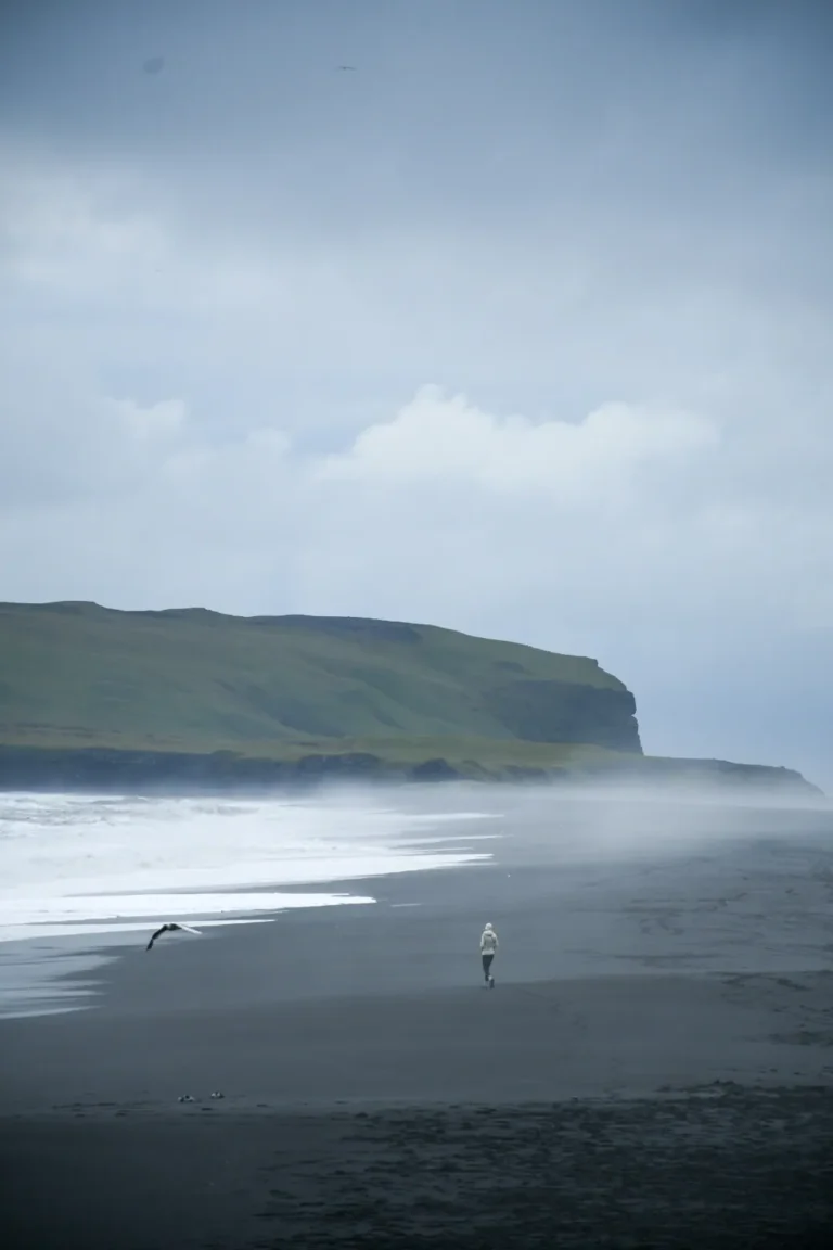 Walking on a dream - Alessandra La Notte