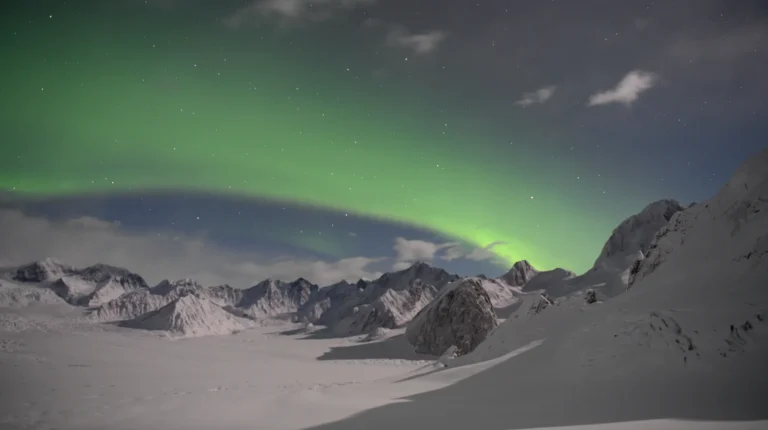 Wavering Testament - Nelson Manstein