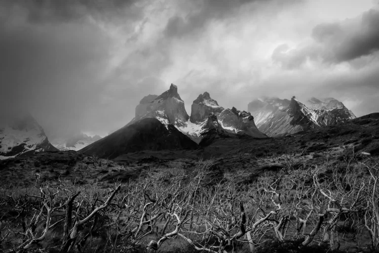 Consumed - Cristian Dinivitzer