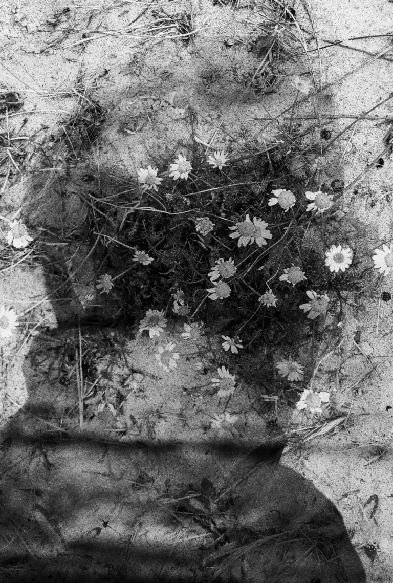 Portrait 01 - Maria Castro