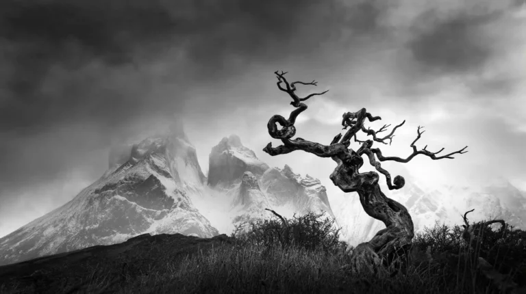 Sobreviviente - Eduardo Modolo