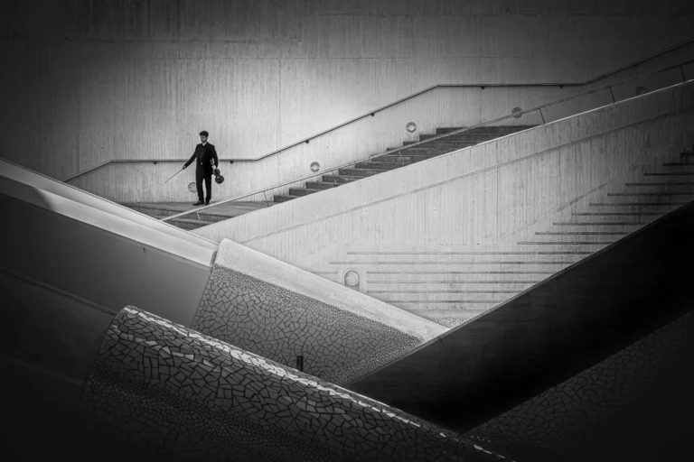 The violist - Ingrid Ponnet