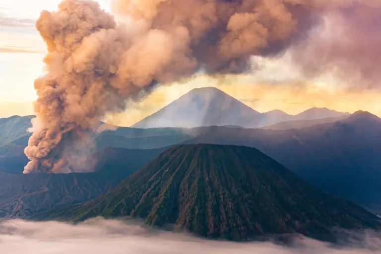 Ash and Light - Timon Halbach