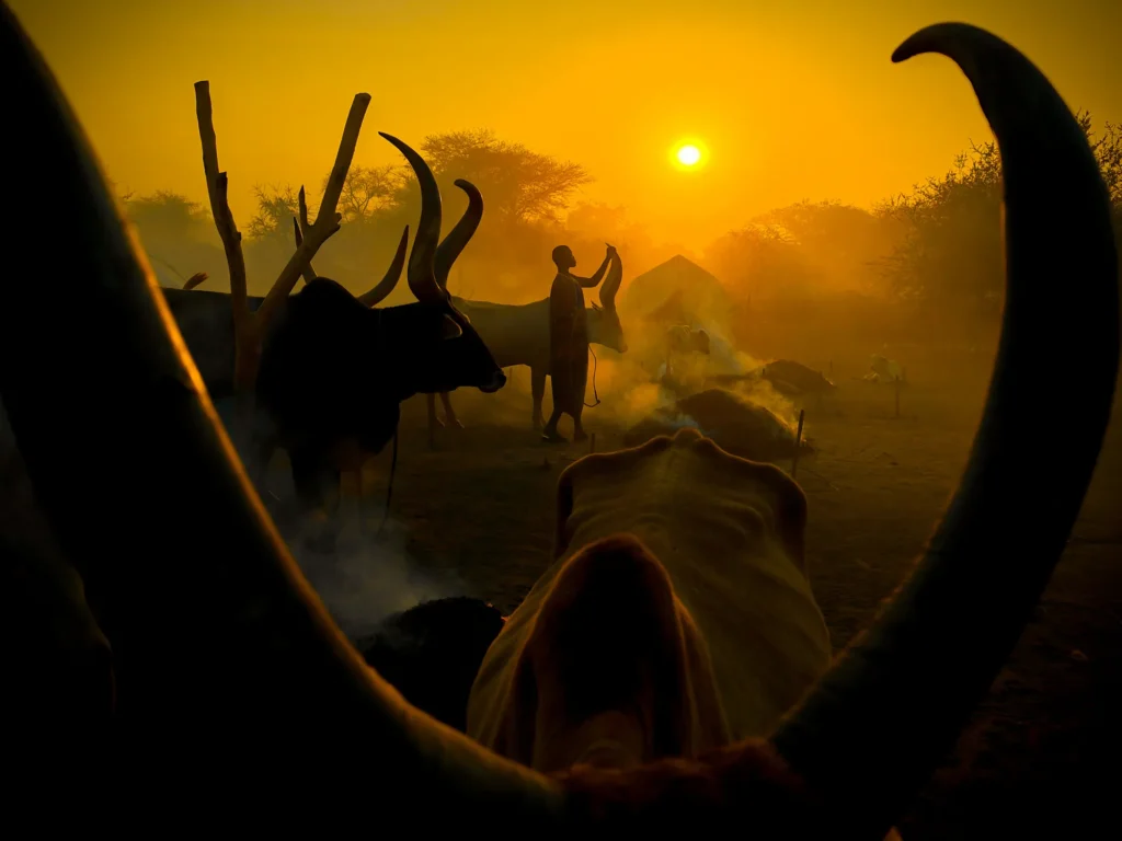 Back to the Past - Jurica Galic