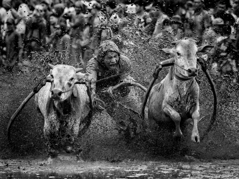 Bite of Glory - Jurica Galic