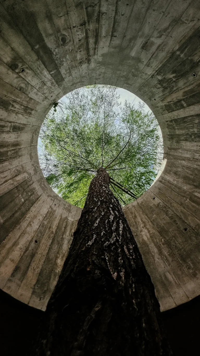 La naturaleza se abre paso - Sofia Stead