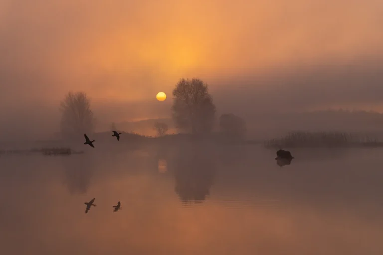 Sunrise at lake Boora - Todor Tilev