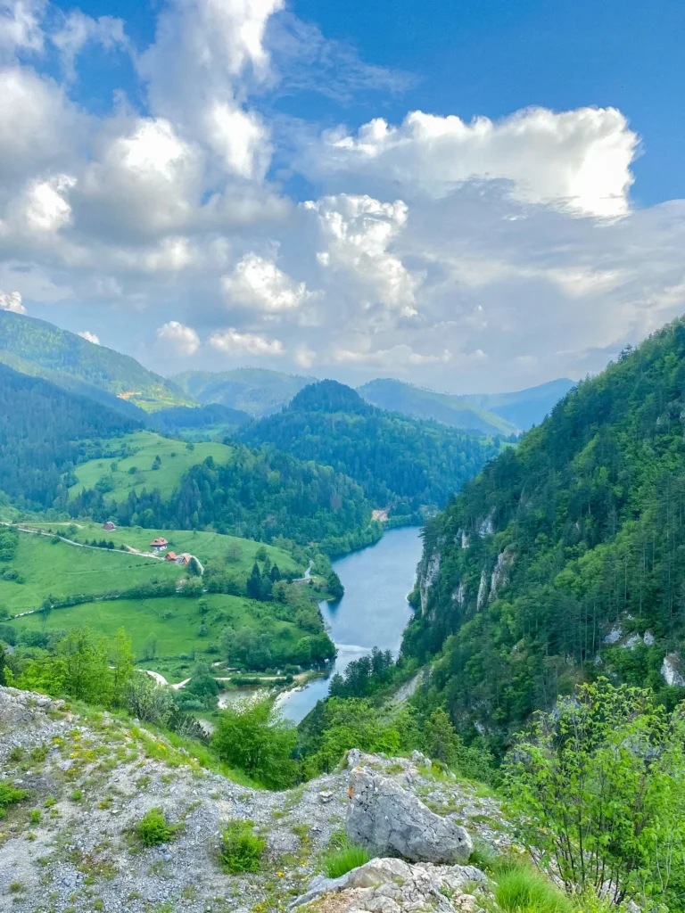 Tara - Kseniia Chumakova