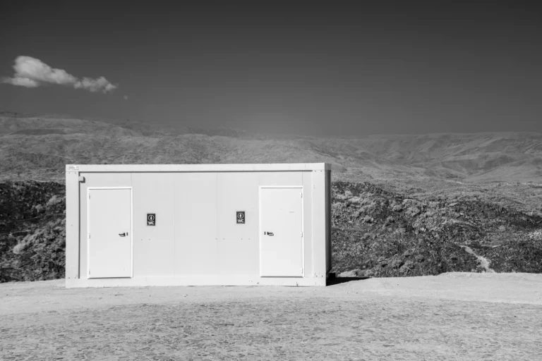 The public restroom - João Pedro Tavares