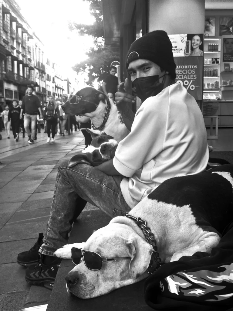 El cuidador de perros - Diego Cesar Monroy Chaparro