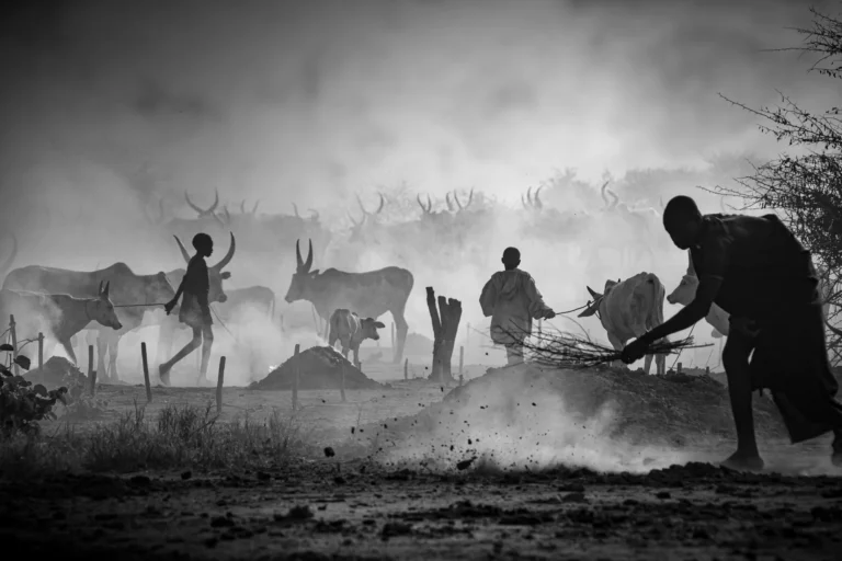 Mundari's life - Svetlin Yosifov