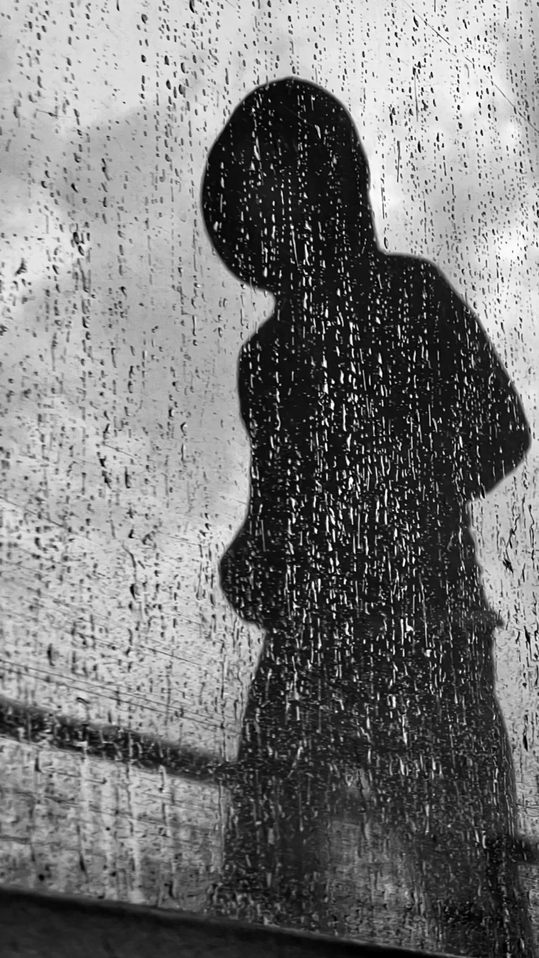 The Hood - Brigitte B Burckhardt