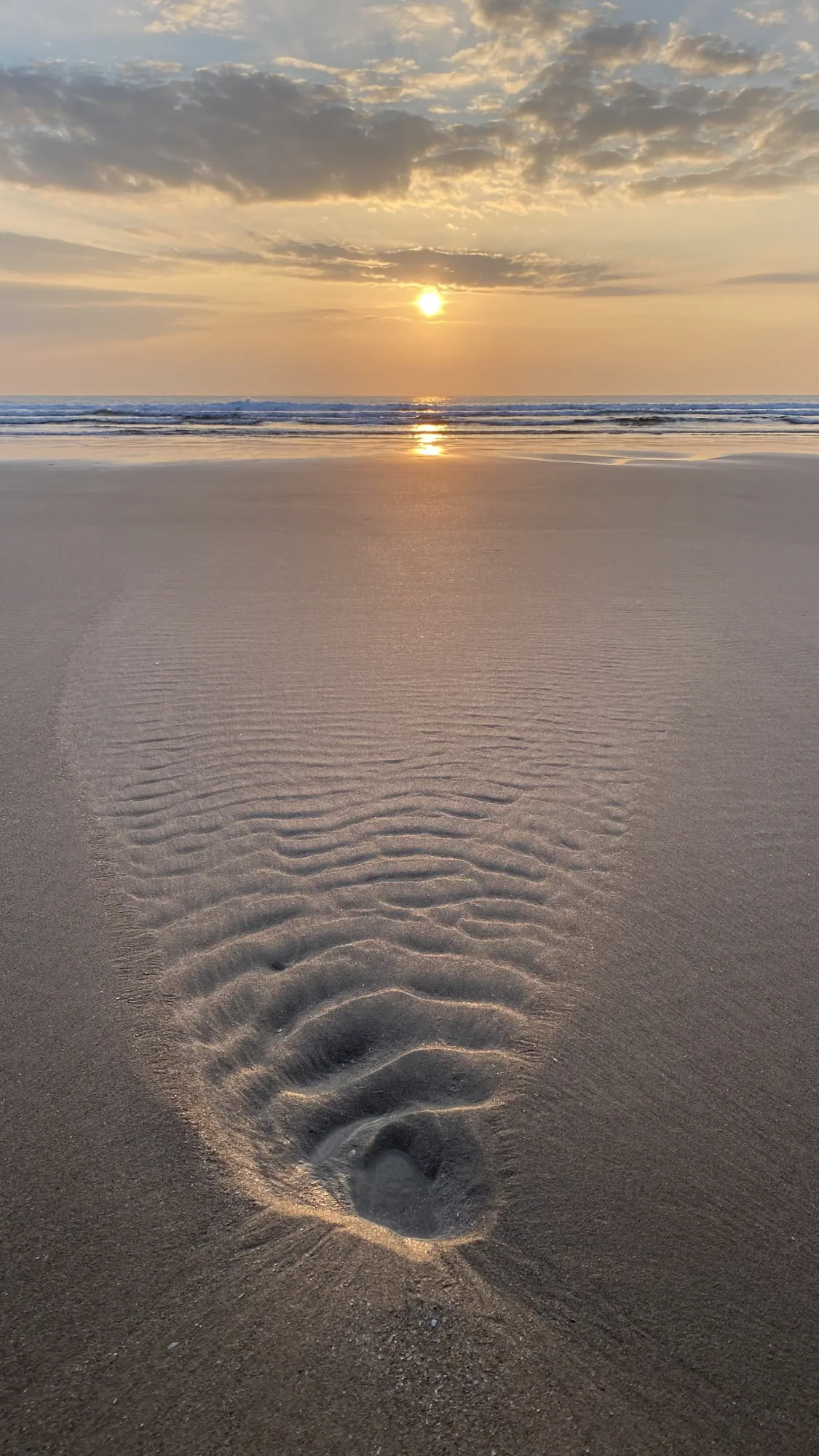Bliss - Brigitte B Burckhardt
