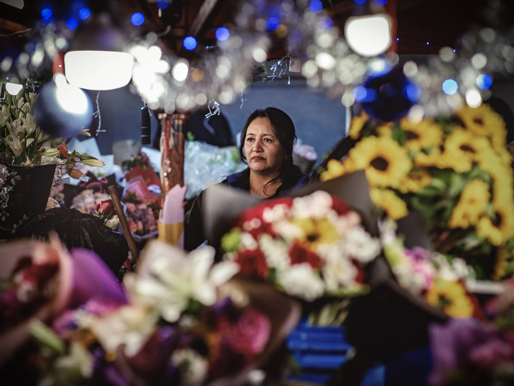 Flowers for Sale - Dan Perez