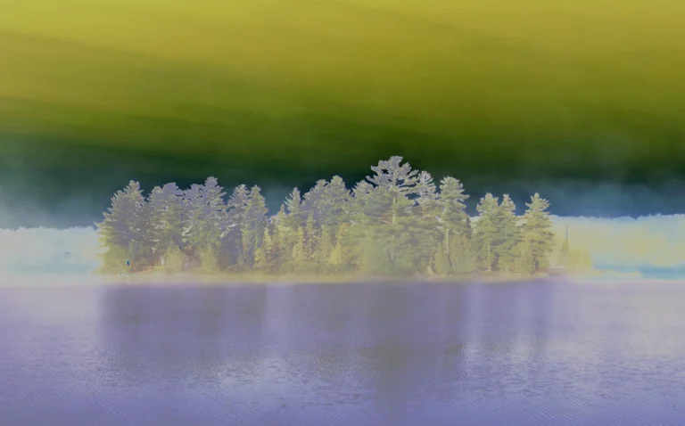 Inversion - Linda Briskin
