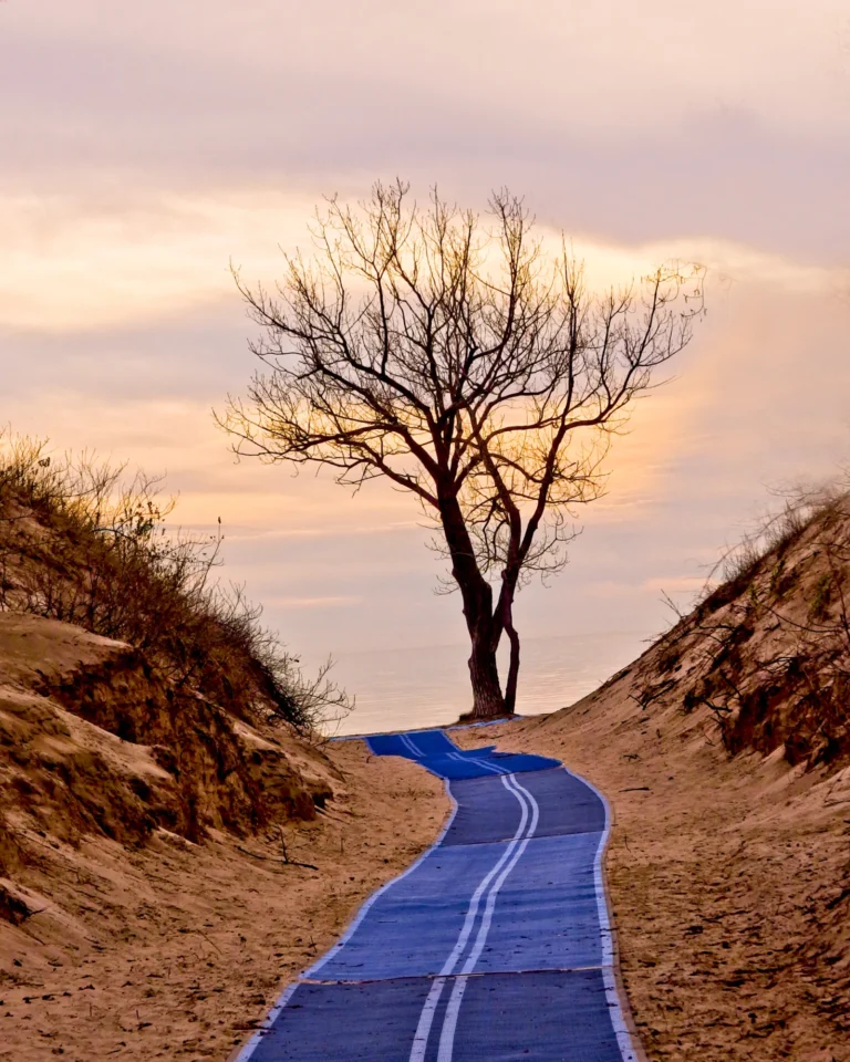 The Blue Road - Linda Briskin