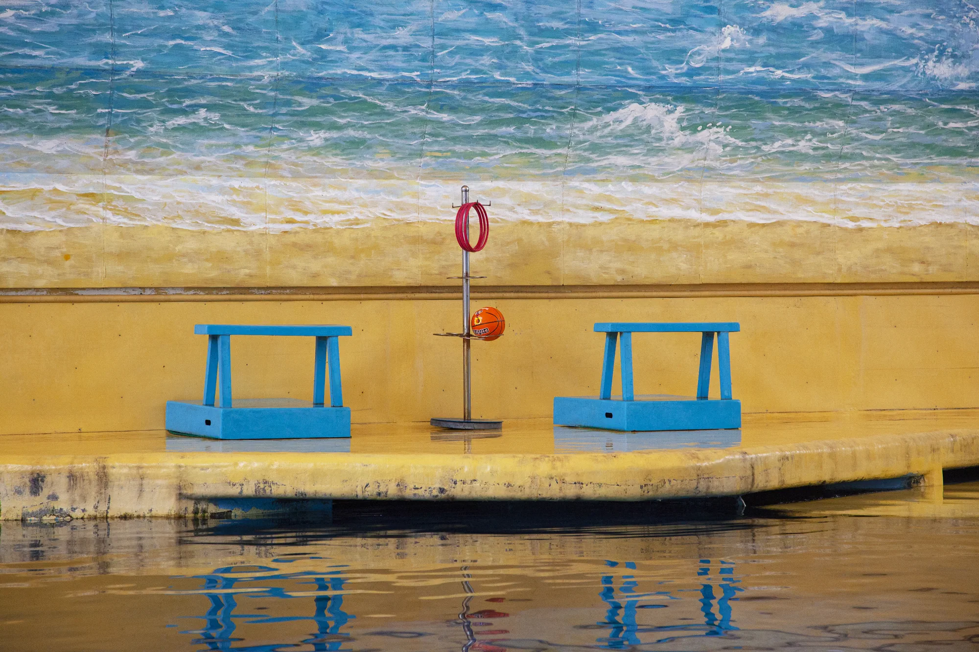 This Exhibit is Closed. 66 - Philip Ringler