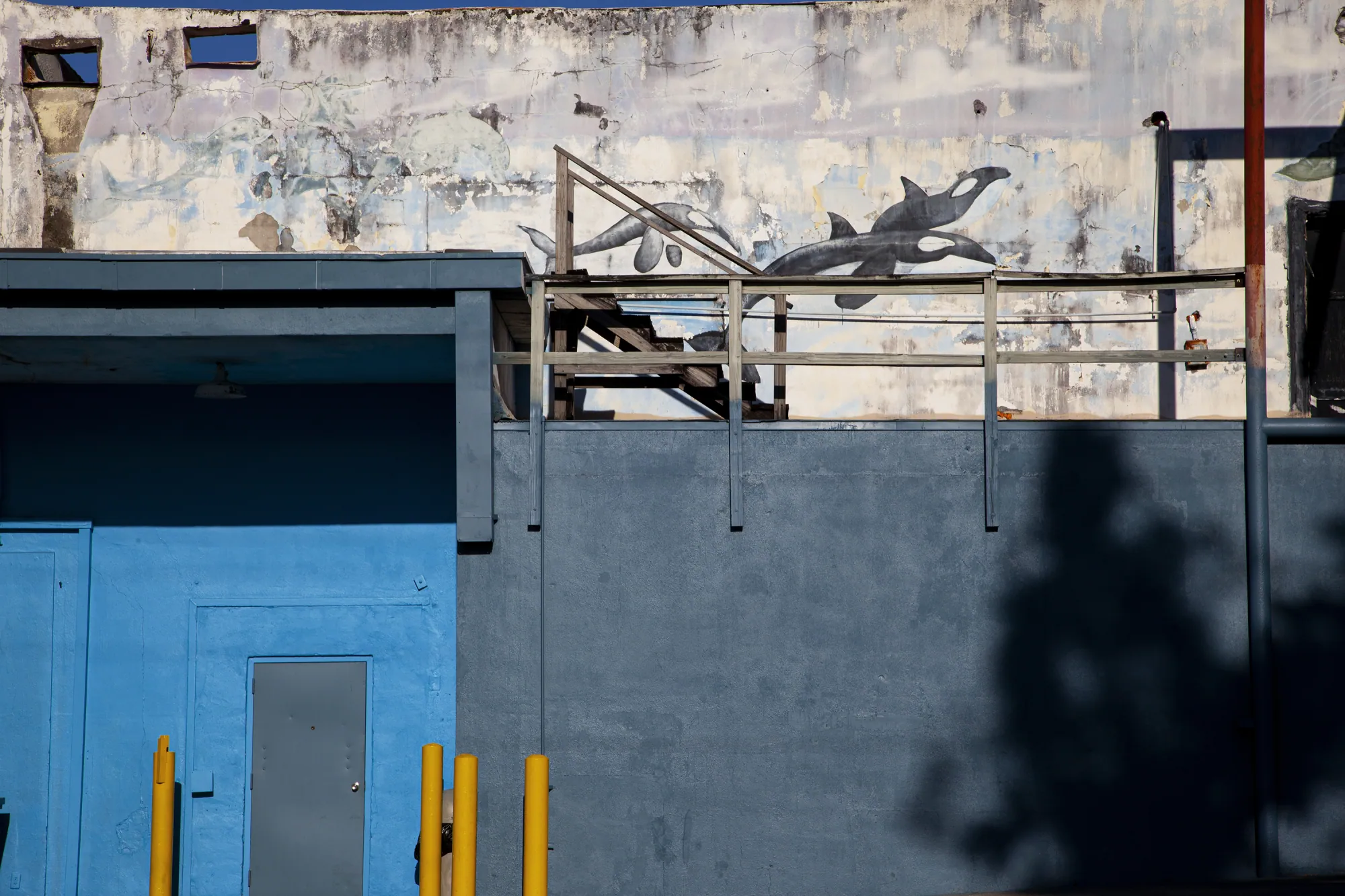 This Exhibit is Closed. 88 - Philip Ringler
