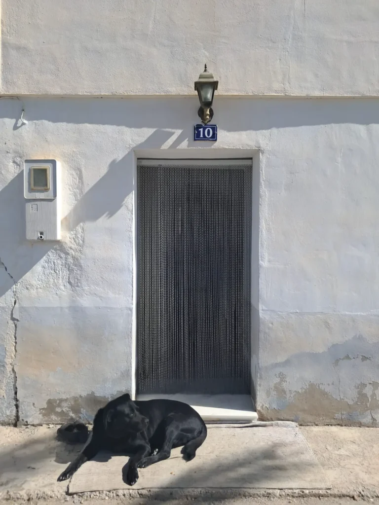 Hogar compartido - Andrés Requena Parra